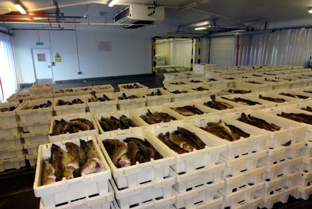 Coldstore crates