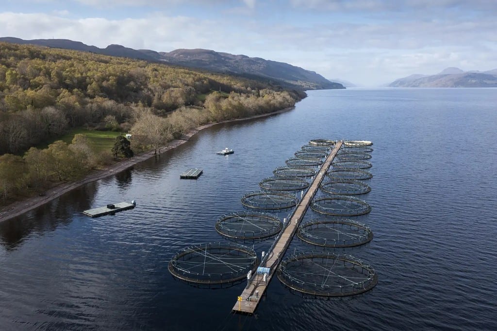 Loch aquaculture